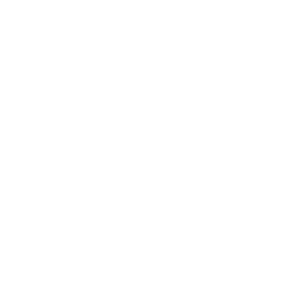 IVC Evidensia logo white